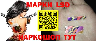 стаф Донецк