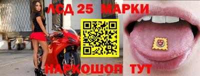 стаф Донецк