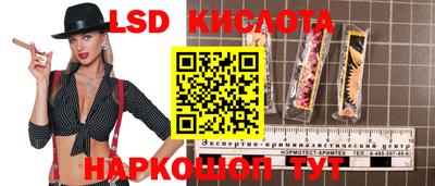стаф Донецк