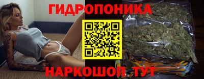 СК Дубна
