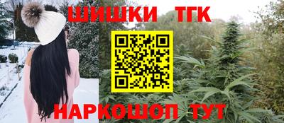 СК Дубна
