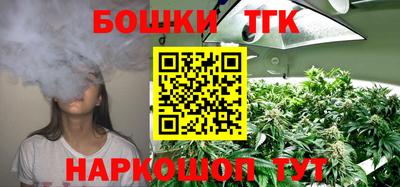 СК Дубна
