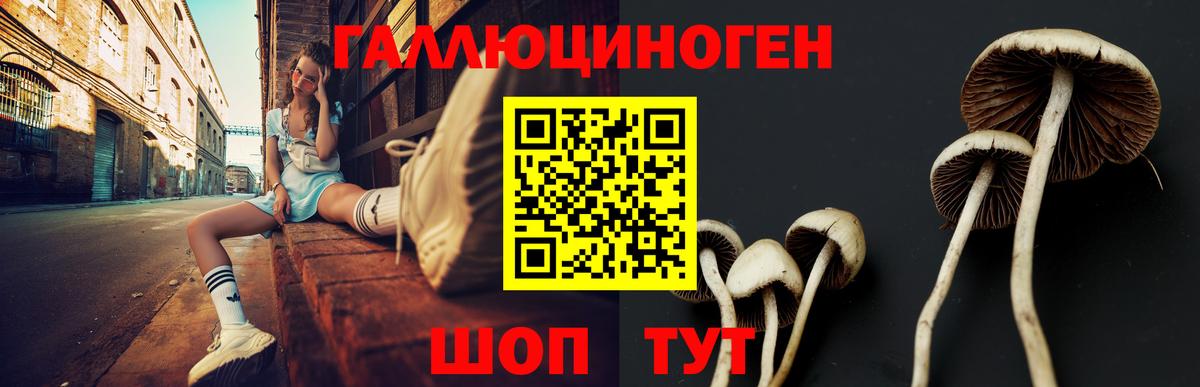 Псилоцибиновые грибы Cubensis Менделеевск
